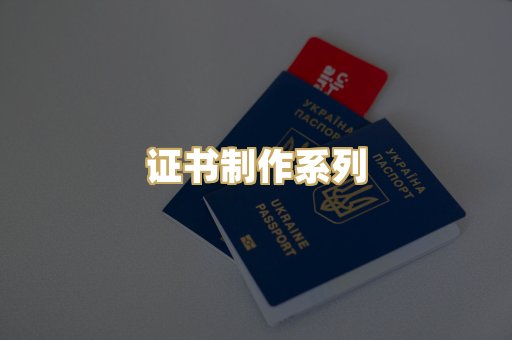 证书制作系列
